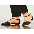 The Clove Flat  image number null