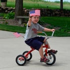 Set of 12 American Flag Sticks image number null