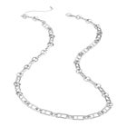 Long Chainlink Necklace image number null