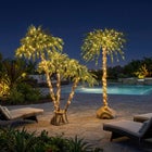 6'H Pre-lit Single Palm Tree image number null