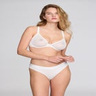 The Plunge - Mesh image number null