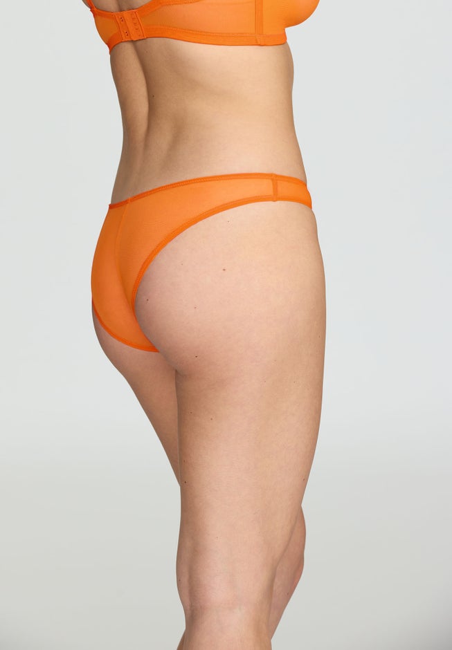 The Bikini - Mesh image number 3