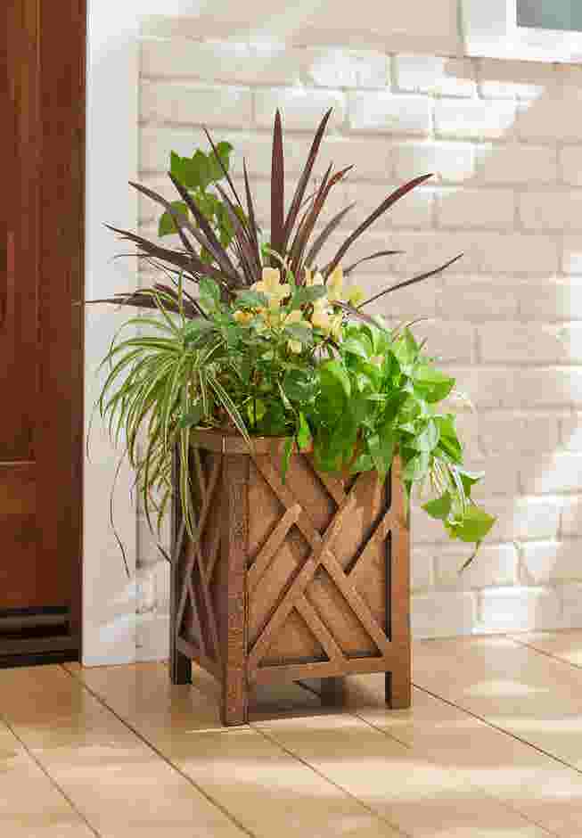 Chippendale Planter image number 0