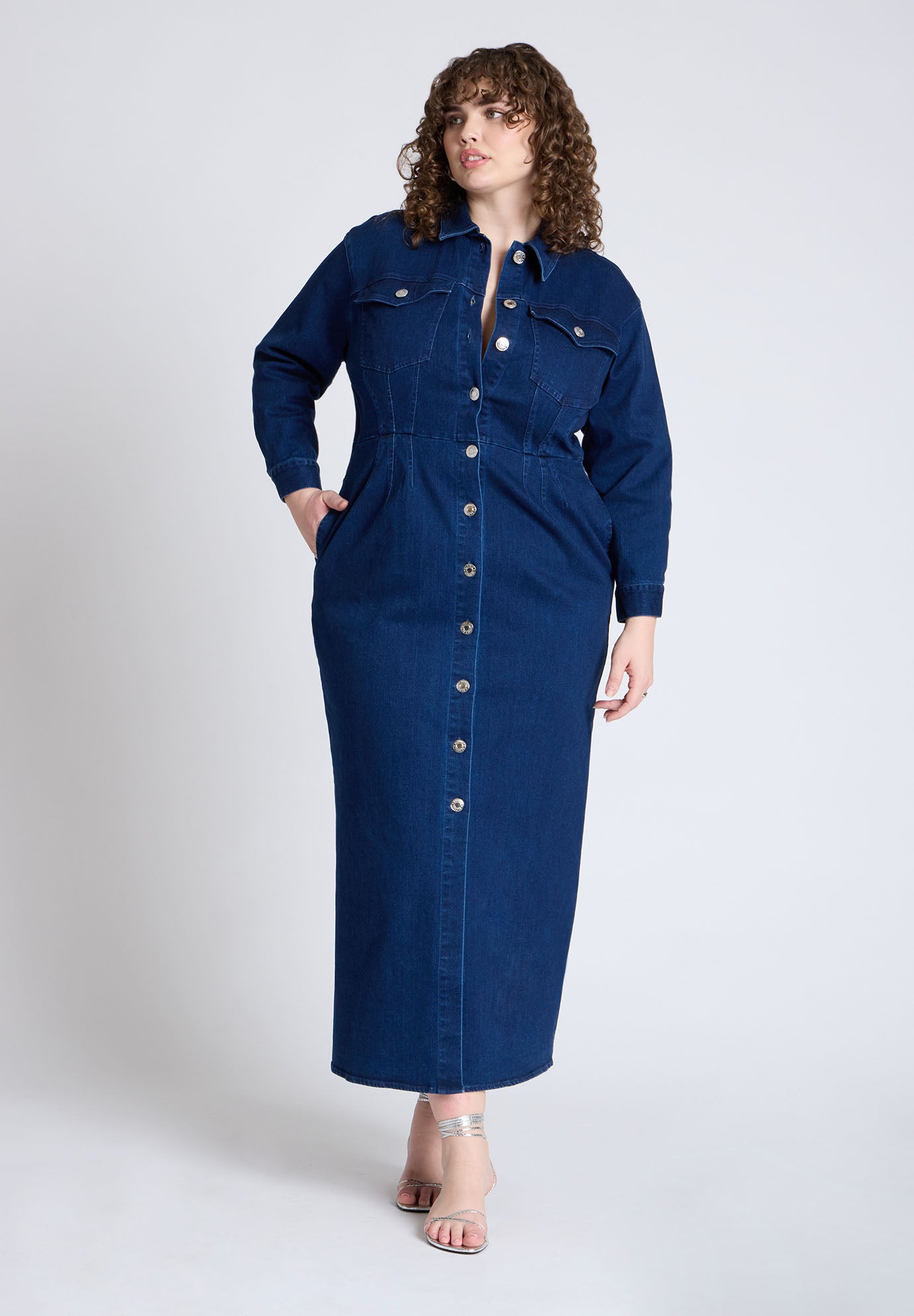 Denim Fitted Dress image number 0