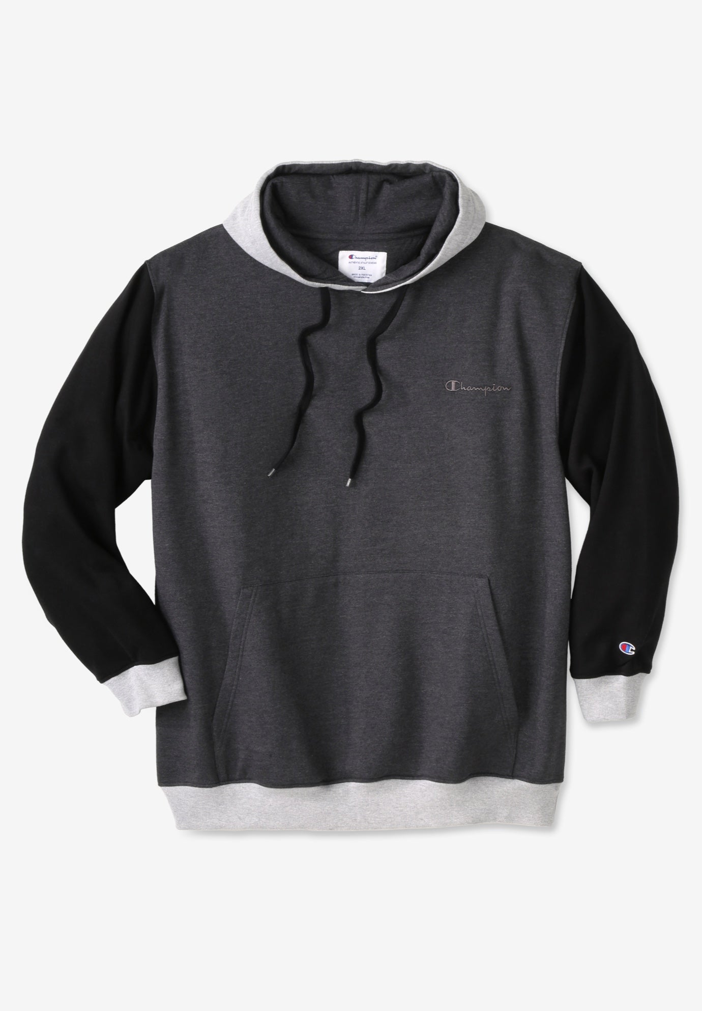 Champion® Colorblock Tonal Script Hoodie image number 0