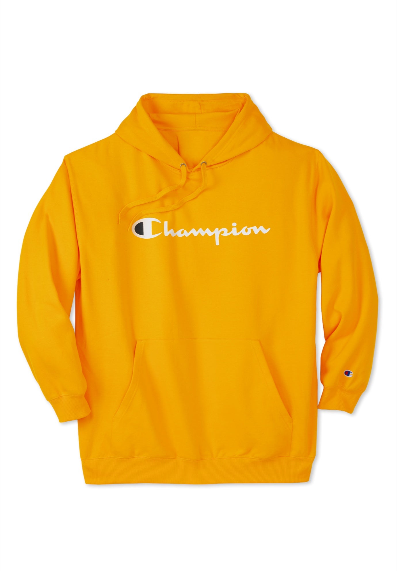 Champion&reg; Script Hoodie image number 1