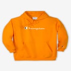 Champion® Script Hoodie image number null
