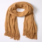 Pashmina Shawl image number null