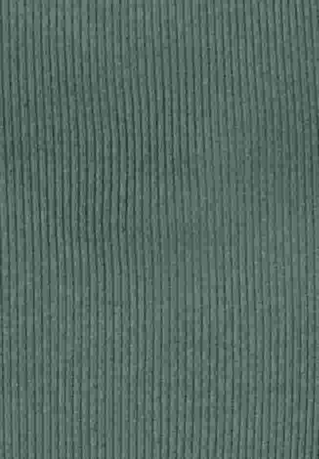 Ribbed Square Neck Elbow-Sleeve Tee image number 5