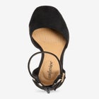 The Aurelia Pump image number null