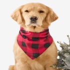 Pet Scarf image number null