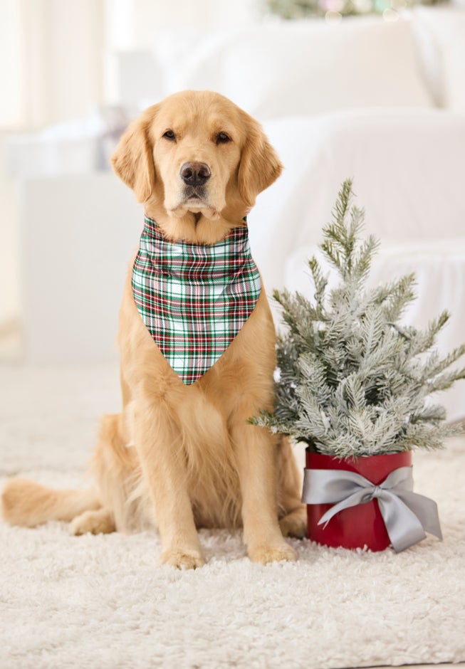 Pet Scarf image number 3