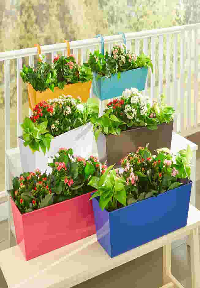 Rectangular Hanging Planter image number 1