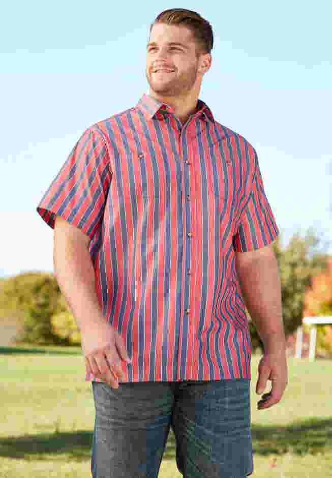 Striped Short-Sleeve Sport Shirt image number 4