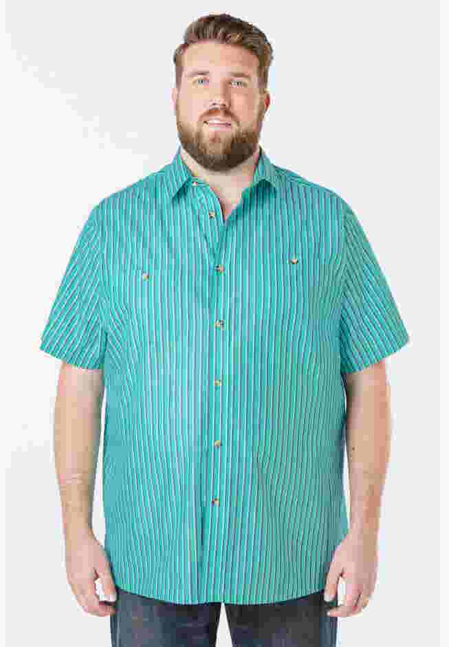 Striped Short-Sleeve Sport Shirt image number 0