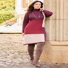 Colorblock Sweater Dress image number null