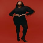  Feather Sleeve Mini Dress image number null