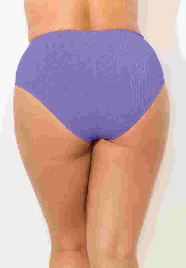 Sparkle Ribbed Shirred High Waist Swim Brief image number 1