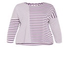 Sina Stripe Top image number null