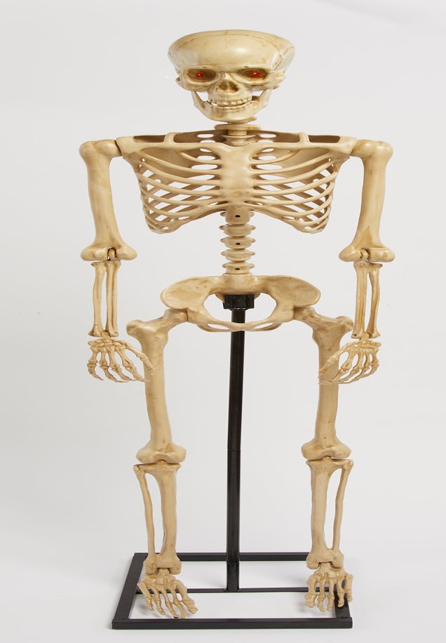5' Pre-Lit Life-Sized Skeleton image number 1