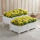 Interchangeable Raised Planters — Set of 4 image number null