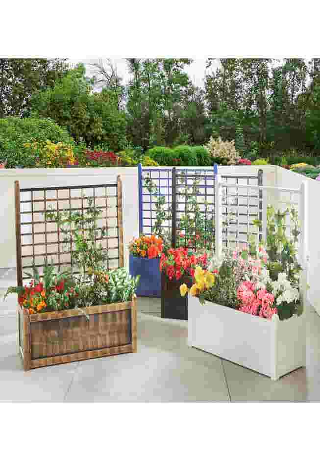 Flower Box With Trellis image number 0