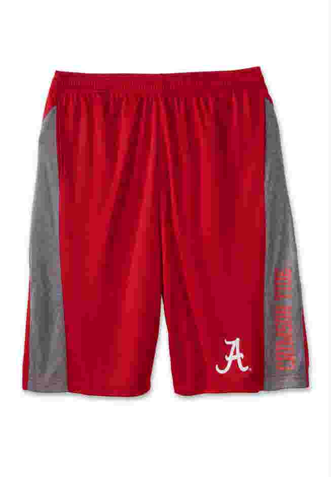 Mesh Shorts image number 1