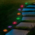  Solar Butterfly Stake Lights, Set of 8 image number null