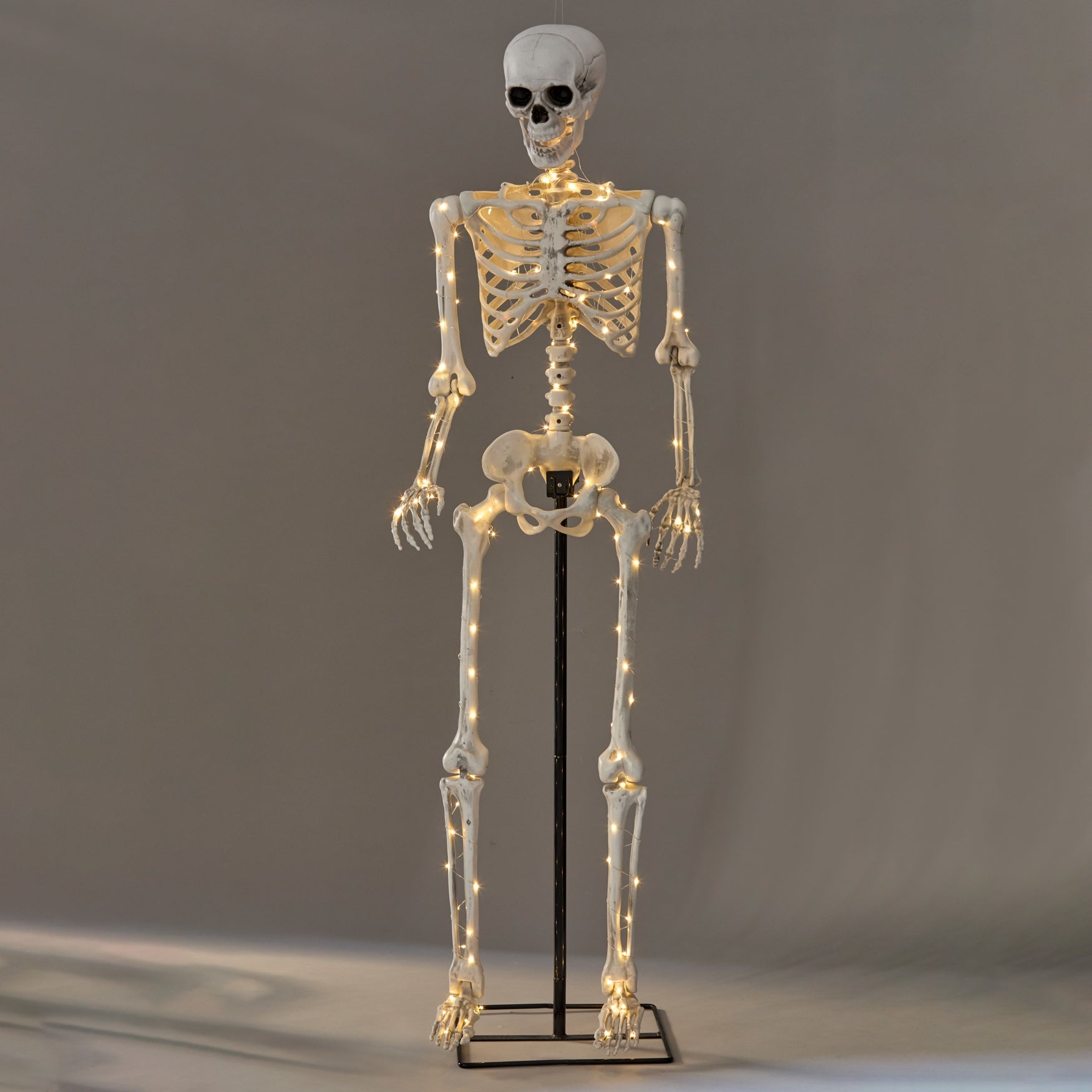 5 Ft. Posable Skeleton image number 3