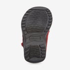 The Dandie Clog  image number null