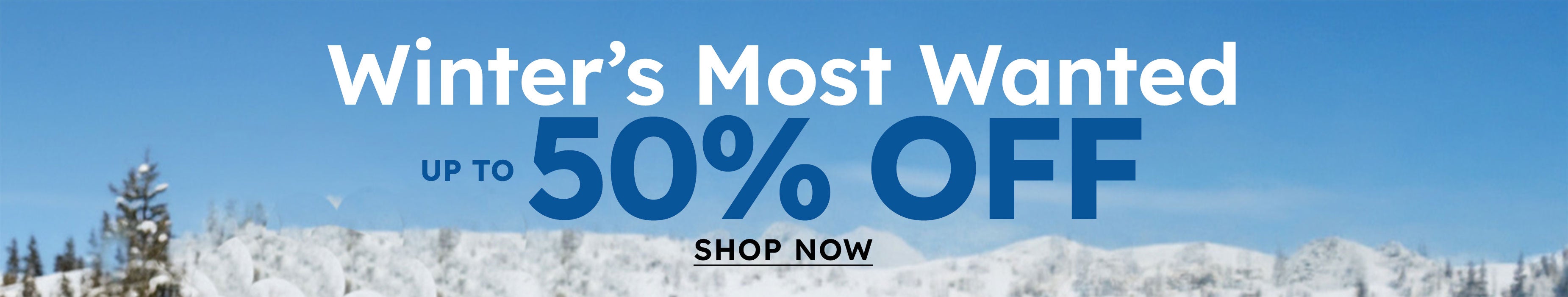 Shop the Best Deals